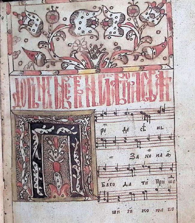 collection logo